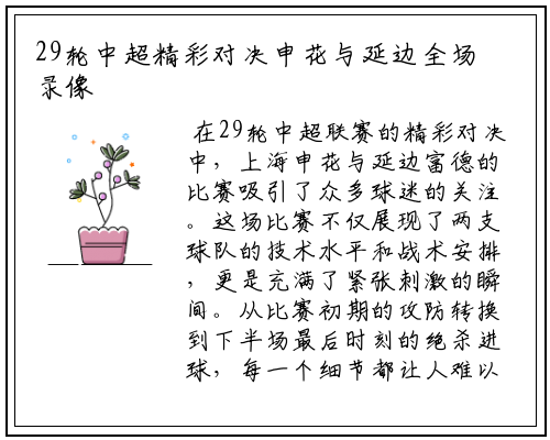 29轮中超精彩对决申花与延边全场录像回顾与精彩瞬间分析